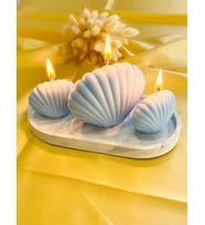 Soya Wax 3'lü Bebek Mavisi İstiridye Set Mum