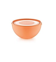 Üçsan UCS288 Kapaklı Jumbo Kase 6 Lt 28x13 Cm (Çok Renkli)