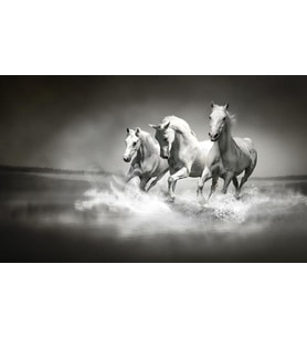 PROWALL POSTER DUVAR KAĞIDI 426 4 PARÇA (2.54mt X 1.84mt)