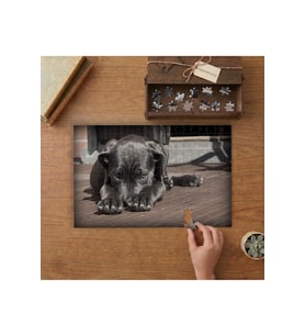 Siyah Sevimli Köpek Tasarımı 240 parça Ahşap Puzzle Ahşap Kutuda MP02665