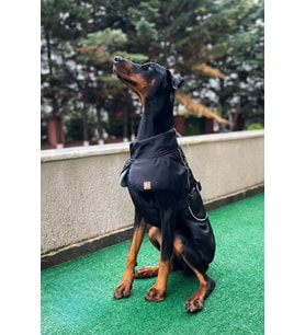 Köpek Montu, Köpek Yağmurluğu, Büyük ve Orta Irk Su Geçirmez Köpek Montu