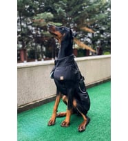 Köpek Montu, Köpek Yağmurluğu, Büyük ve Orta Irk Su Geçirmez Köpek Montu (Siyah)