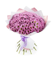 Bukette Pembe Papatyalar
