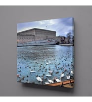 ÖRDEKLERLE GÖL MANZARASI KANVAS TABLO 40x40cm (Karışık)
