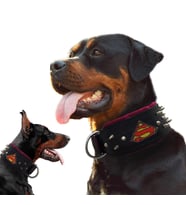 Kangal Malaklı Doberman Rottweiler Dikenli Süperman Tasma Deri Köpek Boyun Tasması 7x70 cm