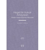 ’De Hukuk Anlayışları