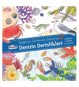 Doğanın Görkemli Gösterisi Denizin Derinlikleri C. Pellissier Teleskop Popüler Bilim