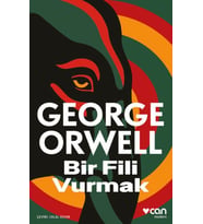 Bir Fili Vurmak
