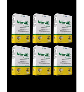 Newvit Probiyotik 30 Kapsül x 6 Kutu (Krem)