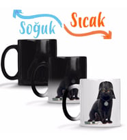 Kedi Star Wars Cat Vader Sihirli Kupa Bardak Porselen