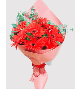 Kırmızı Gerbera Çiçek Buketi