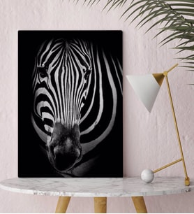 BK Home Zebra Tasarımlı Kanvas Tablo-1