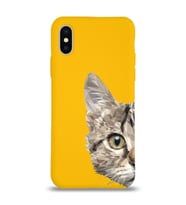 Apple iPhone X Uyumlu Lansman Kılıf Catface Tasarımlı İçi Kadife Kapak-Sarı (Şeffaf)