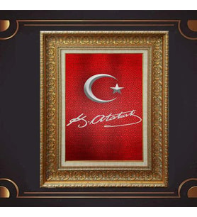 Gold Altın Kalın Çerçeveli Paspartulu Tablo c49