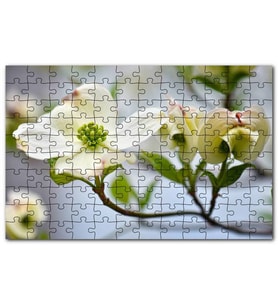 Cakapuzzle Dallar Beyaz Çiçekler Yeşil Tohumlar Görsel Puzzle Yapboz MDF (Ahşap) (120 Parça)