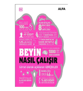 Beyin Nasıl Çalışır (Ciltli)