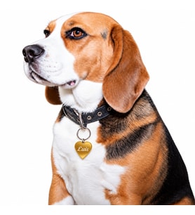 Kalp Şeklinde Metal Pet Künye - Kedi veya Köpek İçin (Gold)