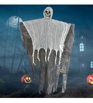 Halloween Cadılar Bayramı Küçük Boy Kuru Kafa Dekor Süs 1 Adet