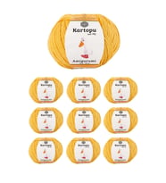 10 Adet Amigurumi El Örgü İpi 50gr 317