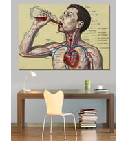 İçecek İçerken Ki Anatomik Yapı Dekoratif Kanvas - Mdf Ahşap Tablo