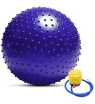 Dikenli Jimnastik Topu 65 cm Mor+ Pompa