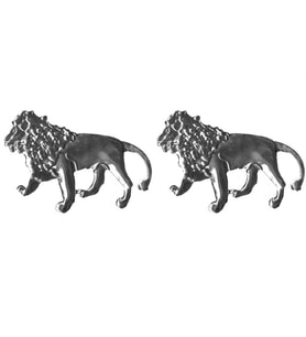 Space Aslan Logosu