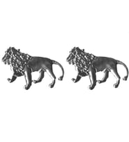 Space Aslan Logosu