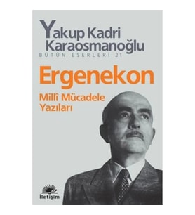 Ergenekon: Milli Mücadele Yazıları