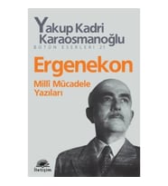 Ergenekon: Milli Mücadele Yazıları