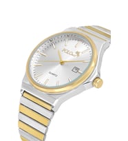 Polo Air Hasır Metal Kordon Takvimli Erkek Kol Saati Gümüş Gold Renk PL-7041E4x (Altın-Gümüş)