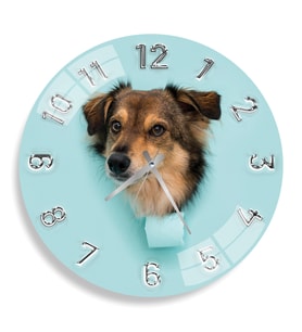 Sevimli Köpek Cam Saat - 40 cm