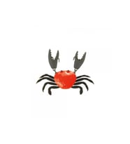 Japanese Yengeç Crab HG2563