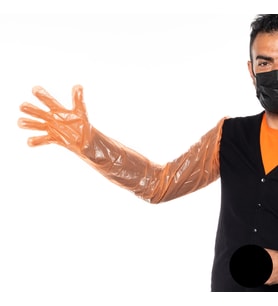 Rektal Eldiven 80 cm Lastikli Veteriner Tohumlama Eldiveni W-Orange 100’lü Veteriner Eldiveni