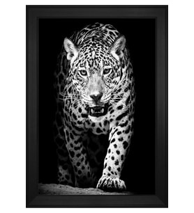 Hayvanlar Temalı Kanvas Tablo 80 x 110 cm Siyah Çerçeve