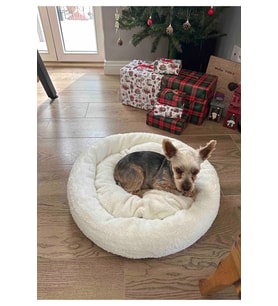 Yumuşak Peluş Kedi ve Köpek Yatağı, Konforlu ve Şık Tasarım