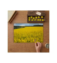 Kolza Bitkisi Tarlası Tasarımı 240 parça Ahşap Puzzle Ahşap Kutuda MP03660