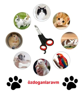 Köpek  Kedi Kuş Tırnak Makası