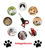 Köpek  Kedi Kuş Tırnak Makası