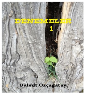 Denemeler 1