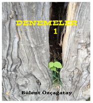 Denemeler 1