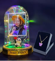 Sizlere Özel Renkli Led Işıklı Fanus ve Kelebek Kolye Hediye Seti (Model 8)