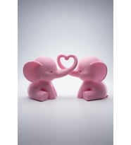 MYCRAFT3D Sevgili Fil Biblo Seti Kalp Figürlü Minimal Dekoratif Obje Hediye Çift Fil Heykel 20x10cm