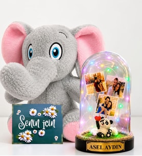 Kişiye Özel 3 Fotoğraflı Renkli LED Işıklı Fanus ve Peluş Fil Hediye Seti (panda biblolu)