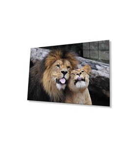 Aslan Cam Tablo 4mm Dayanıklı Temperli Cam (Çok Renkli)
