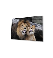 Aslan Cam Tablo 4mm Dayanıklı Temperli Cam (Çok Renkli)