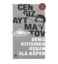 Deniz Kıyısında Koşan Ala Köpek