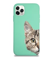 Apple iPhone 11 Pro Max Uyumlu Lansman Kılıf Catface Tasarımlı İçi Kadife Kapak-Su Yeşili (Şeffaf)
