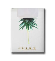 Just Like You Canvas Tablo MİND599