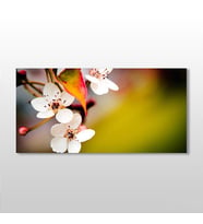 Bahar Ve Çiçekler Kanvas Tablo 220x110cm (Karışık)