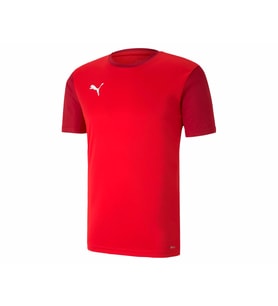 Puma Teamgoal 23 Sideline Tee Erkek Futbol Antrenman Tişörtü 65648401 Kırmızı